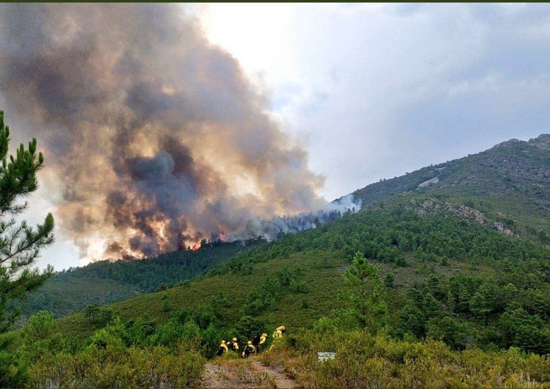 Cinco localidades evacuadas por el incendio de Ladrillar que continúa activo con una evolución complicada