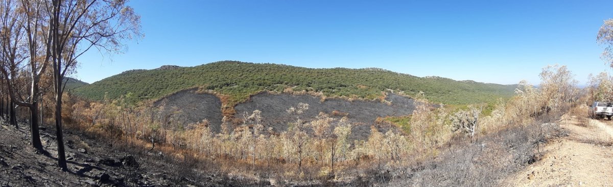 Desactivado el nivel 1 en el incendio de Casas de Miravete tras 17 días y casi 3.000 hectáreas quemadas
