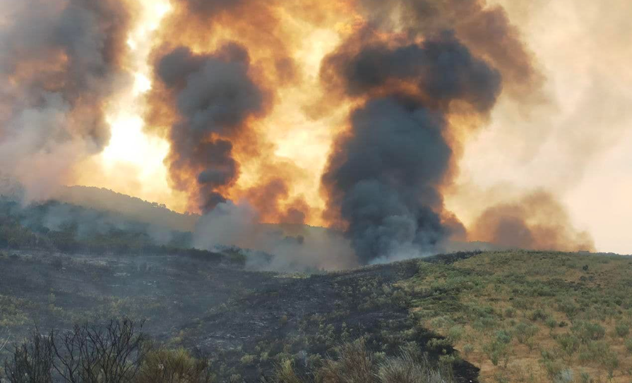 Amigos de Monfragüe denuncia que el Parque Nacional no tenía medios de extinción el día que se inició el incendio