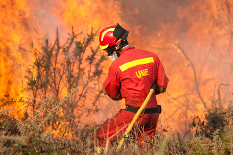 Extremadura pide ayuda a la UME para extinguir el incendio de Miravete, próximo a Monfragüe