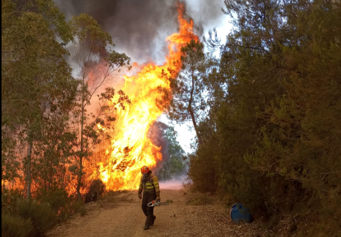 ADENEX reclama ayuda contra los incendios forestales y mayor implicación institucional