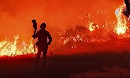 Brigadas de Pinofranqueado, Ávila, Orense, León y Toledo trabajan intensamente para controlar el incendio de Las Hurdes