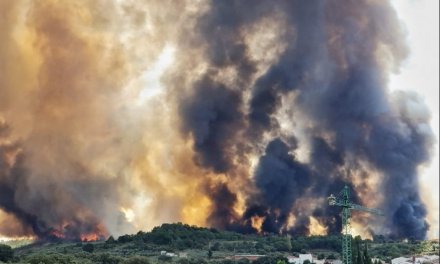 El intenso calor reactiva el incendio forestal de Santa Cruz de Paniagua