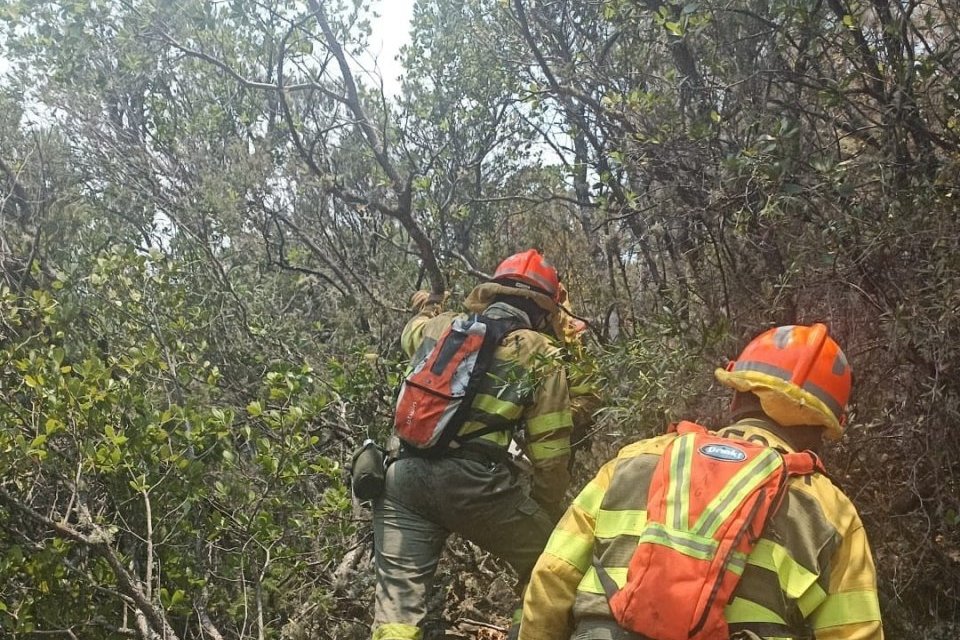 Aprovechan un incendio para robar varias mangueras a los bomberos que trataban de sofocar las llamas