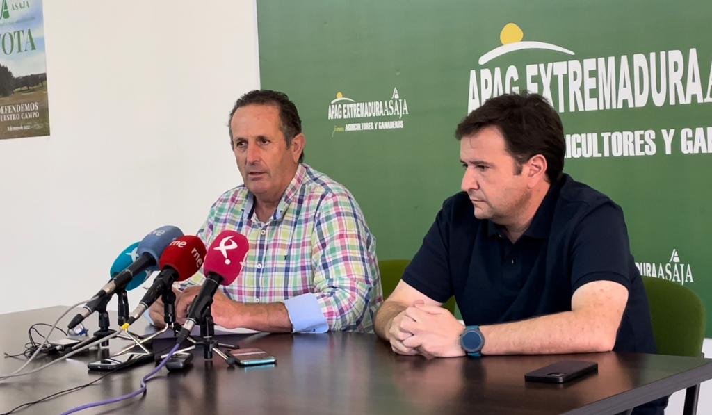 La candidatura de Extremadura y Requena consigue representación en la DOP Cava