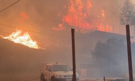 La coalición Levanta traslada su apoyo y solidaridad a los vecinos afectados por el incendio de Las Hurdes