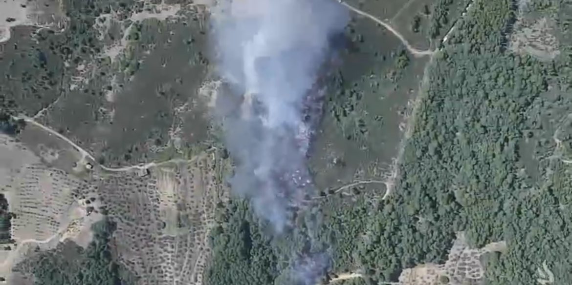 Medios aéreos y terrestres consiguen estabilizar el incendio forestal declarado en Cadalso