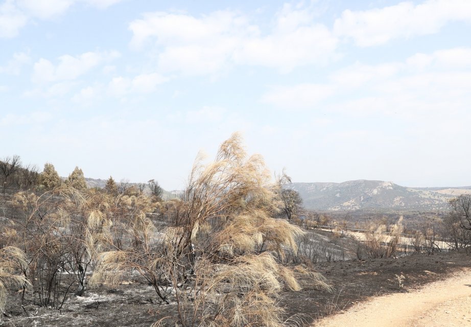 El incendio de Monfragüe calcinó más de 2.300 hectáreas en zona ZEPA y casi 400 dentro del Parque Nacional