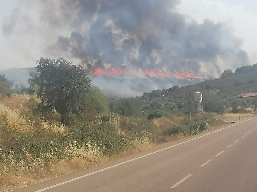 Declarado el nivel 1 de peligrosidad en un incendio registrado en Monterrubio