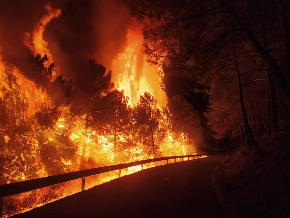 El incendio en Sierra de Gata está parcialmente perimetrado y su evolución es favorable
