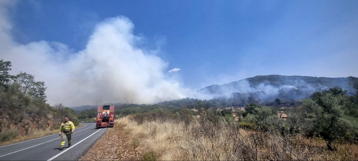 VIDEO: Medios aéreos, terrestres, la Brif de Pino y efectivos llegados de Castilla tratan de frenar el incendio de Sierra de Gata