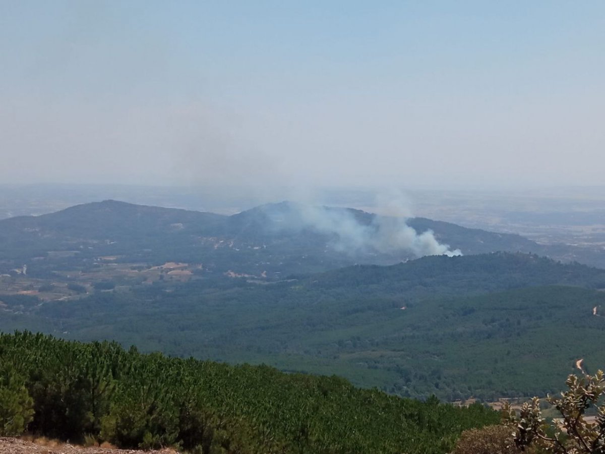 VÍDEO: Medios aéreos y terrestres tratan de sofocar un incendio con nivel 1 de peligrosidad en Sierra de Gata