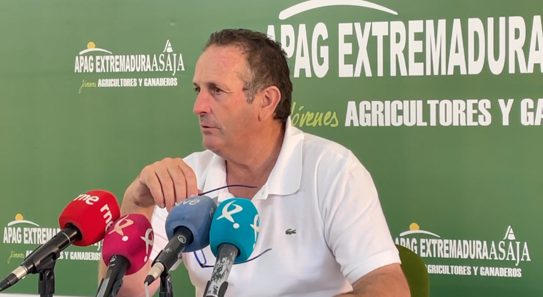 APAG Extremadura Asaja anticipa “la peor cosecha de la historia” en la campaña de la aceituna
