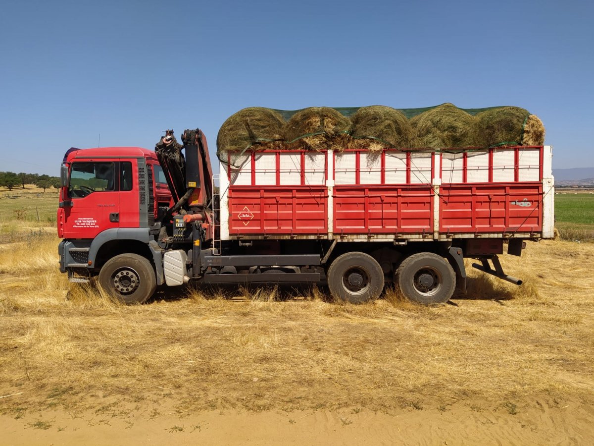 Diputación reparte más de 16.000 kilos de heno para los afectados por el incendio de Villanueva de la Vera