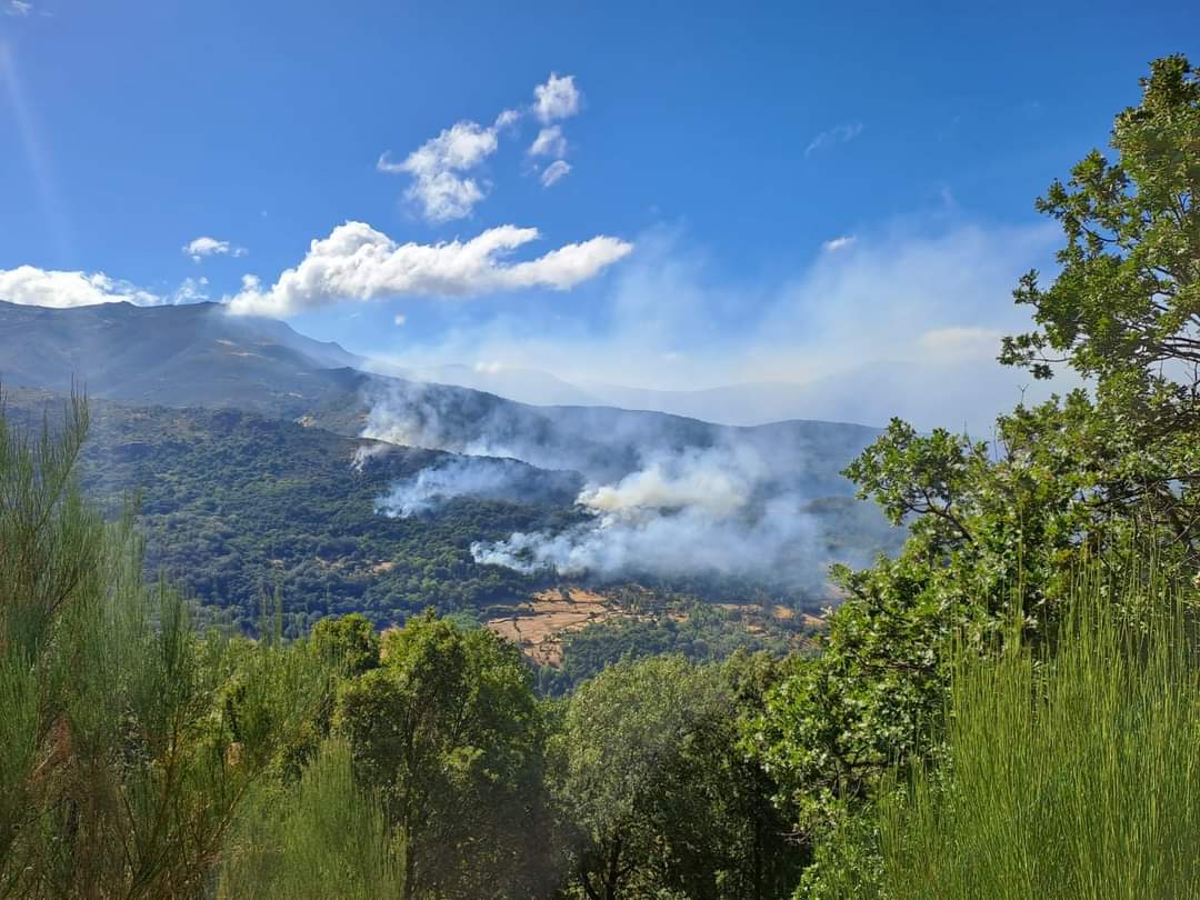 Estabilizado el incendio forestal del Valle del Ambroz