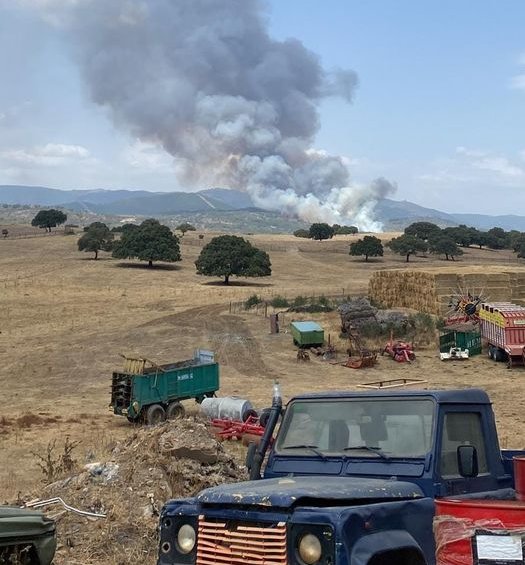 DESTACADO: El incendio de Sierra de Gata afecta a más de 700 hectáreas de 4 términos municipales