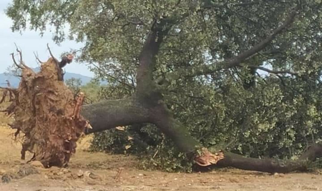 Calzadilla recibirá 87.400 euros por la tormenta de 2020 que provocó grandes daños y acabó con la vida de una mujer