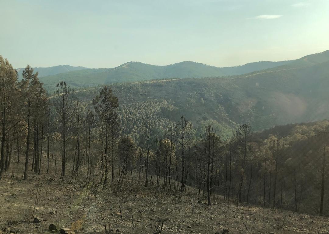 El Consejo de Ministros aprueba la declaración de zona catastrófica para las áreas afectadas por los incendios en Extremadura