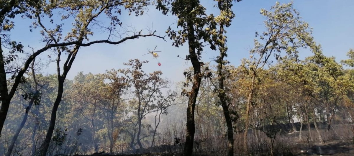 El Infoex da por controlado el incendio de Sierra de Gata y desactiva el nivel 1 de peligrosidad