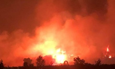 VIDEO: Así se ve el paisaje que deja el incendio de Sierra de Gata desde “el halcón” del Infoex