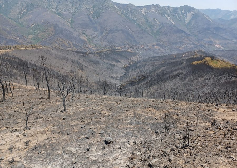 Los incendios forestales arrasaron este verano 10.400 hectáreas, el doble que en 2021