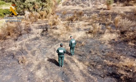 Identifican al autor de seis incendios forestales provocados este verano en La Vera