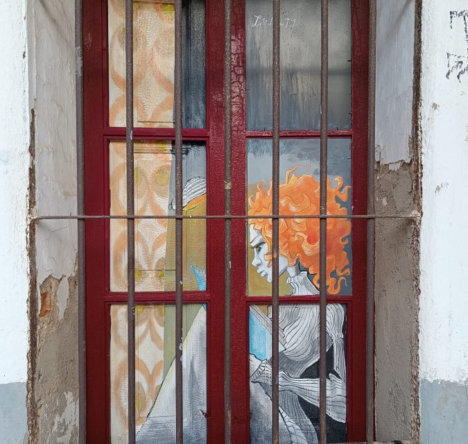 reembolso compromiso traqueteo Arte para restaurar puertas y ventanas deterioradas en las calles de  Moraleja - Radio Interior