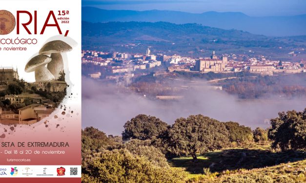 Coria celebra el Día de la Seta de Extremadura enmarcado en el evento Coria Sabor Micológico