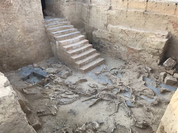 El mayor hallazgo arqueológico del último decenio en España se localiza en Extremadura