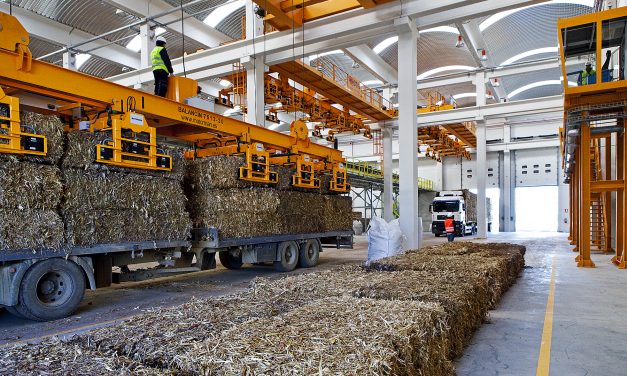 La planta de biomasa de Logrosán tendrá una potencia de 49,9MW y producirá 376GWh/año