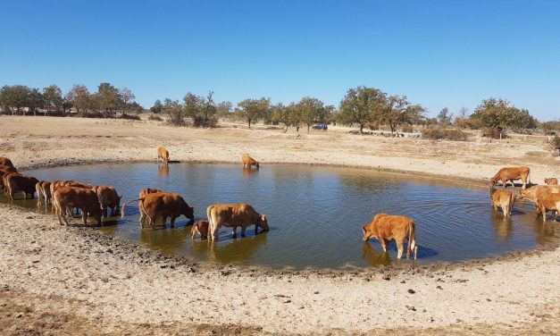 Extremadura pide al Gobierno central medidas urgentes para paliar los efectos de la sequía