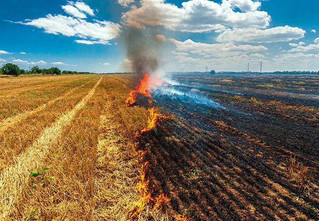 ¿Por qué en Castilla La Mancha se pueden quemar los restos de cosecha afectados por hongos y en Extremadura no?