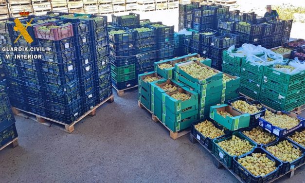 Acusan a tres trabajadores de robar 9 toneladas de uva valoradas en más de 13.700 euros