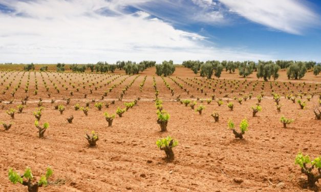 UPA-UCE Extremadura apoya la construcción del regadío en Tierra de Barros