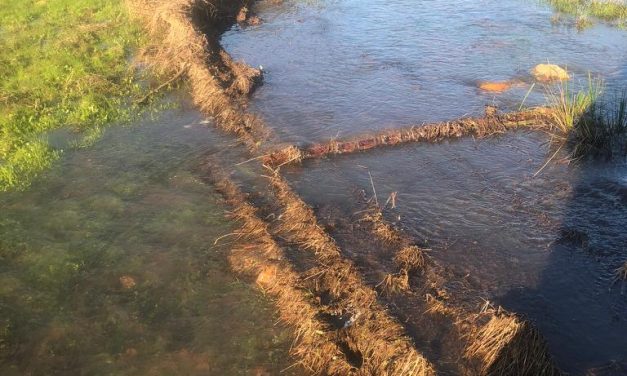 Apag Extremadura Asaja solicita una partida de ayudas para los daños por las inundaciones en explotaciones agrícolas y ganaderas