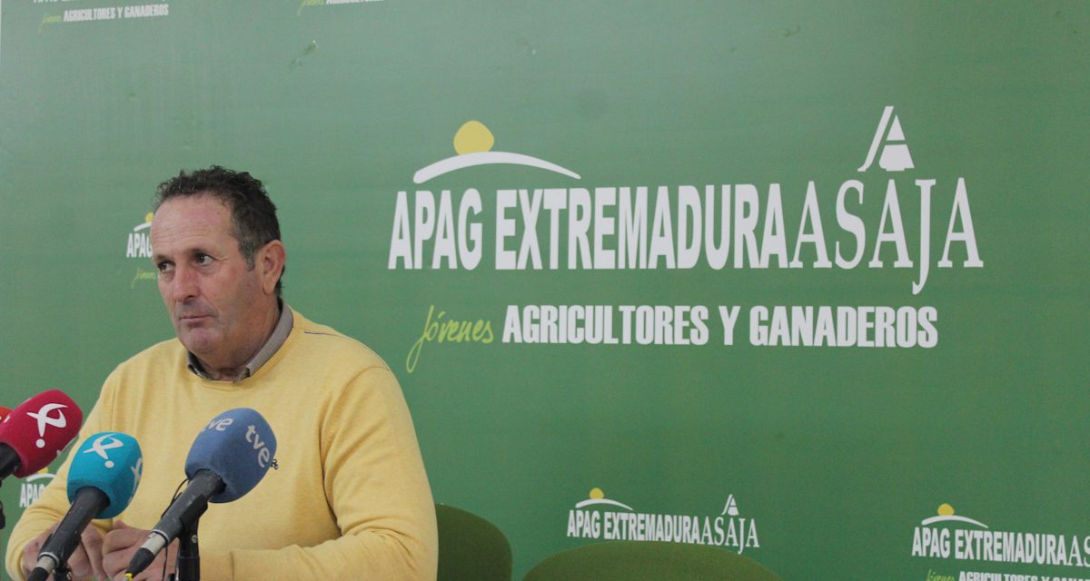 Apag Extremadura Asaja denuncia la situación de agricultores y ganaderos por los precios de los cereales