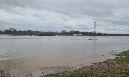 La Unión critica la falta de mantenimiento en ríos y pide indemnizaciones para los cultivos afectados por las lluvias