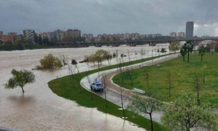 Levanta Extremadura pide que la región sea declarada zona catastrófica por los daños del temporal