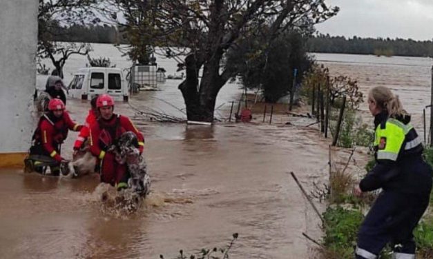 Mejora la situación en Extremadura, aunque Coria y Valdeíñigos siguen en alerta
