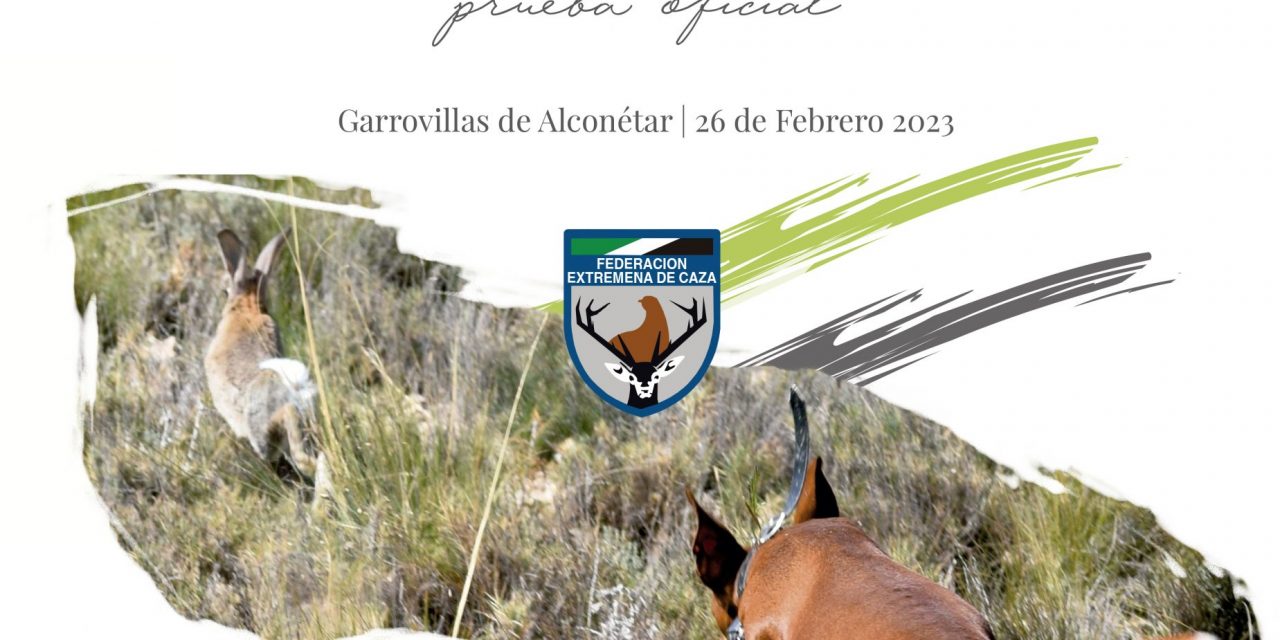 El Campeonato de Extremadura de Podencos en Abierto se disputará el 26 de febrero