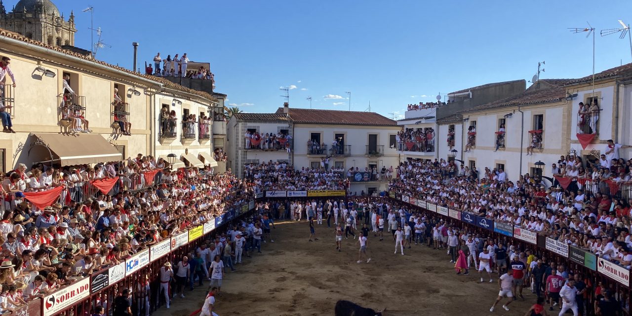 El Ayuntamiento de Coria busca cartel, reina y damas para sus fiestas de San Juan