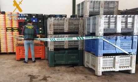 La Guardia Civil consigue recuperar 22.300 kilos de aceitunas robadas en Extremadura