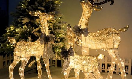 Detenidos cuatro jóvenes por el robo de dos renos decorativos navideños valorados en 1.500 euros