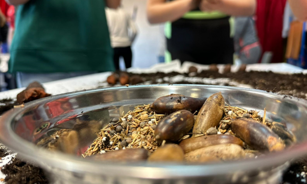 Estudiantes extremeños aprenden a hacer bombas de semillas con el método Nendo Dango