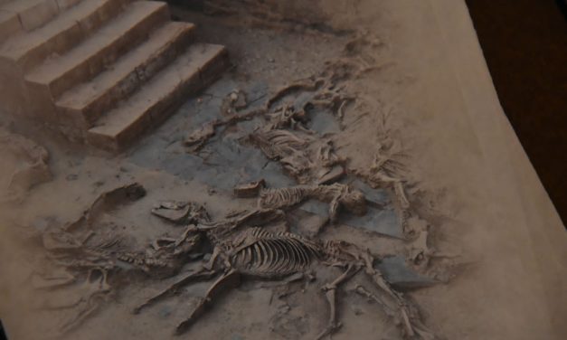 La muestra sobre el yacimiento arqueológico de El Turuñuelo abre sus puertas en Badajoz