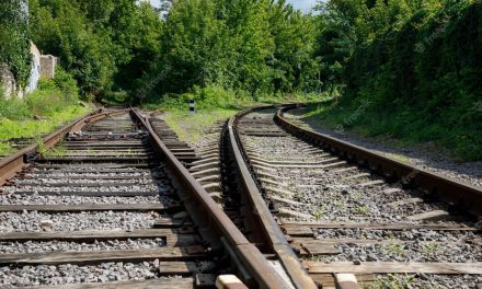 La plataforma en defensa del ferrocarril exige un estudio de viabilidad para reabrir el eje de la Ruta de la Plata
