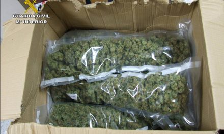 Mandan desde Italia por mensajero a una tienda del centro de Cáceres más de 12 kilos de cannabis