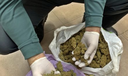 Cazan en la A-66 a un conductor con 2.050 gramos de cogollos de marihuana metidos en una bolsa