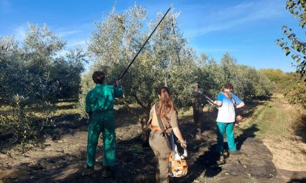 Extremadura supera el centenar de explotaciones en régimen de titularidad compartida