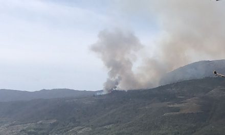 Medios aéreos y terrestres participan en la extinción de un incendio forestal en Navaconcejo